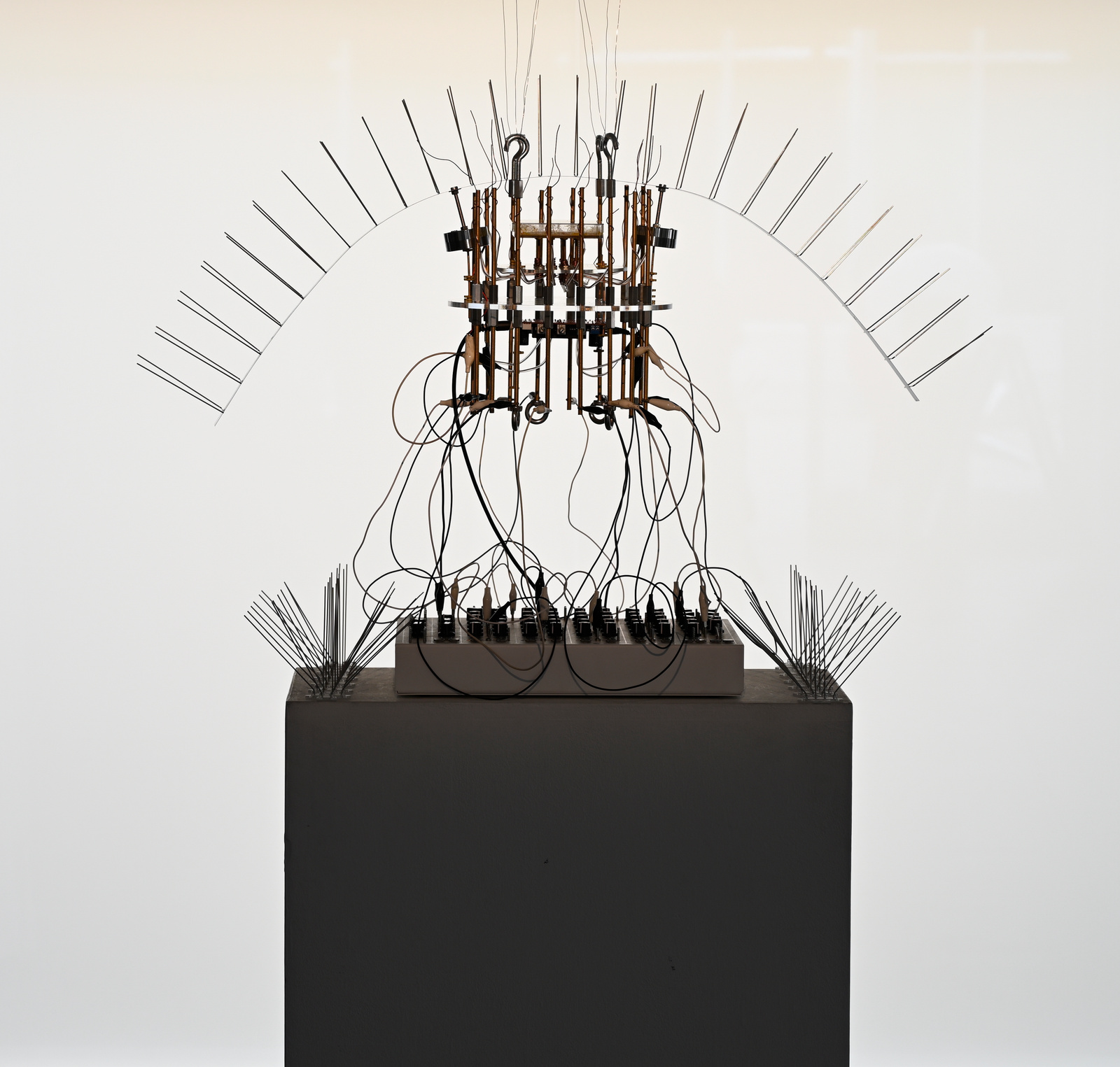 A-x-Myxomycetes exhibition documentation